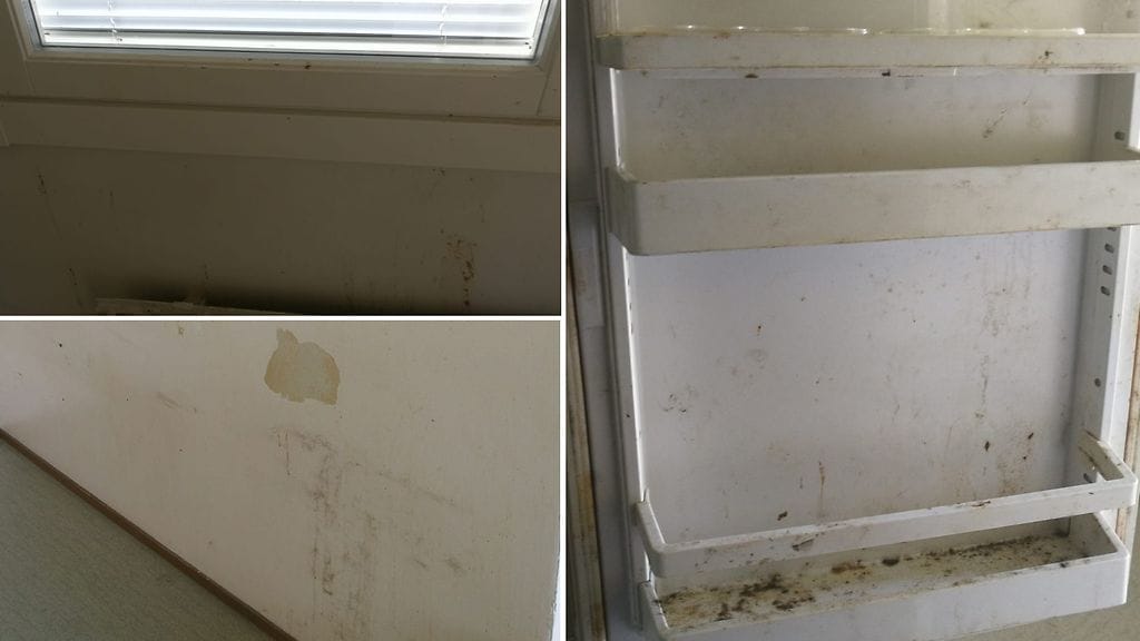 kodinsiivous 3, Jari Kuopio