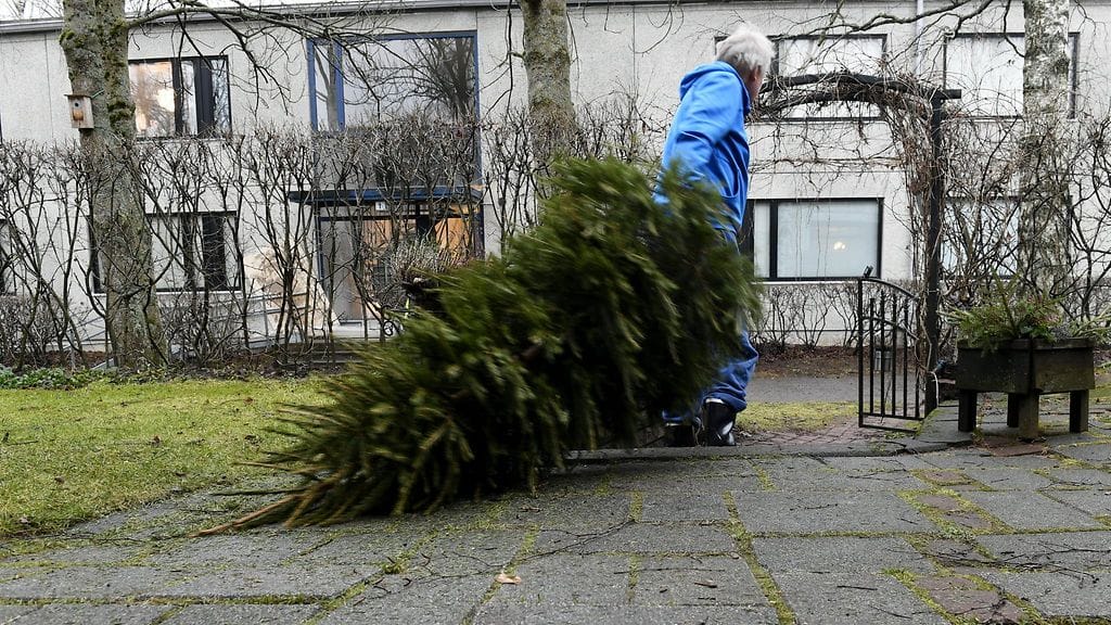 Joulukuusta vietiin pois Helsingissä 4.1.2020