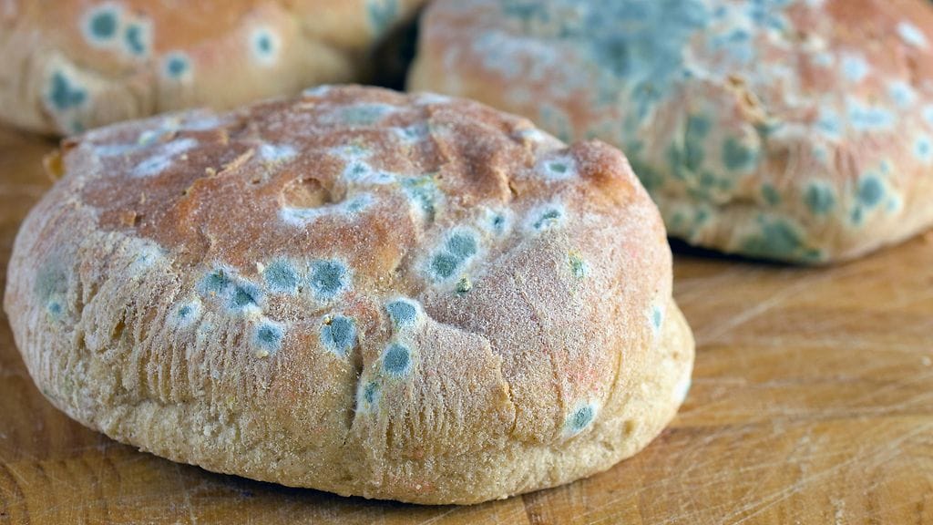 Kaikissa elintarvikkeissa pilaantumisen merkit eivät ole yhtä selkeitä. Kuvituskuva