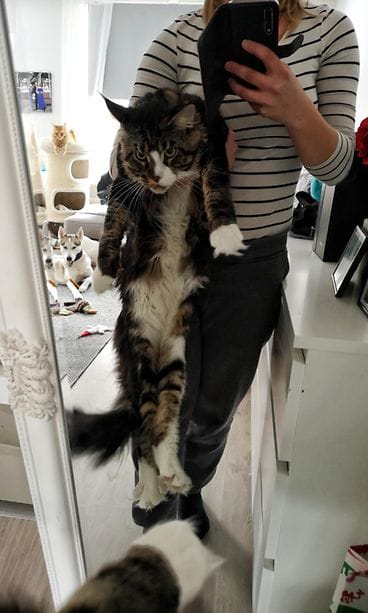 KUVA VAIN LIFESTYLEEN IMG_20190309_153737-01