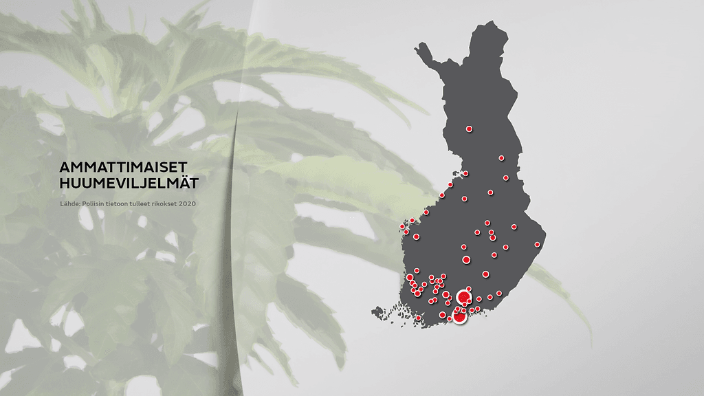 1903-hannula-viljelmat