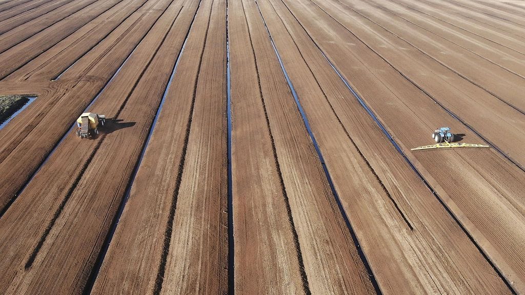 Reijo ja Jarkko Lahti nostivat turvetta Kalliosalon nevalla Seinäjoella 29. elokuuta 2019.