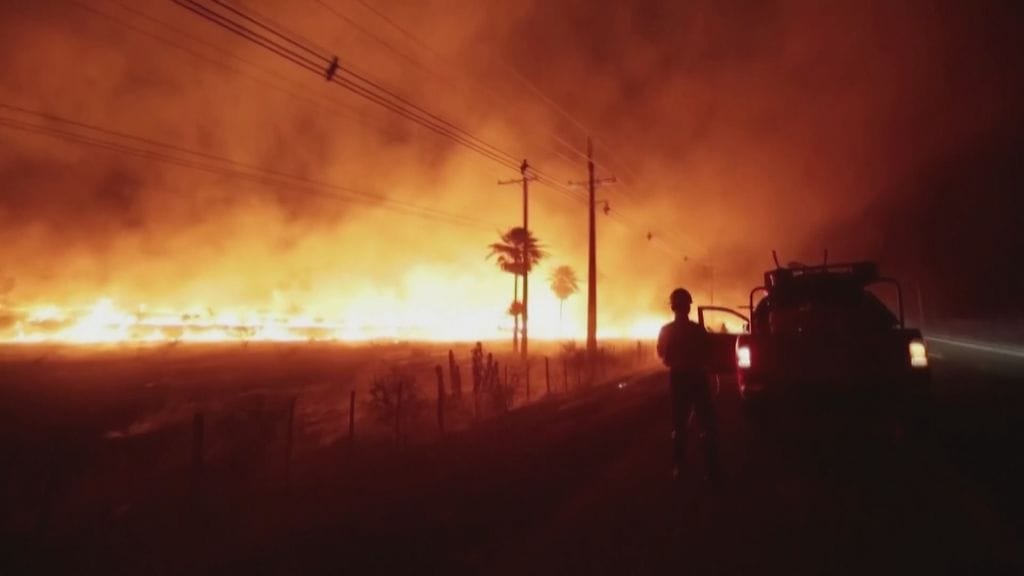 Metsäpalo, Paraguay