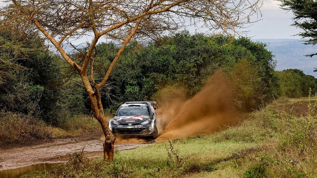 Esapekka Lapilla karmea tilanne tietä ylittäneiden eläinten kanssa