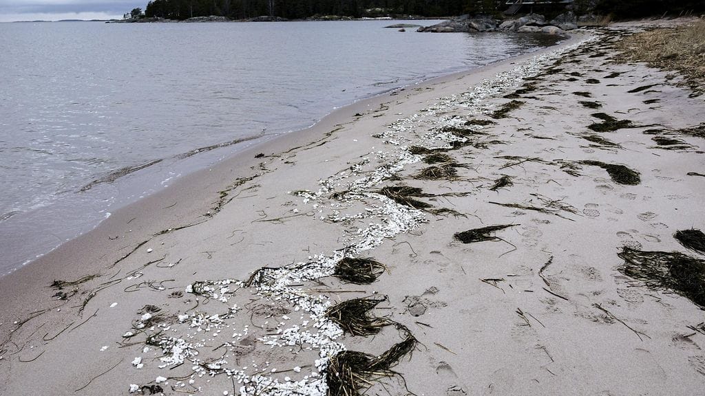 Valkoista raetta löydettiin Hangon rannasta kymmenien kilometrien matkalta. Kuva otettu 27. tammikuuta.