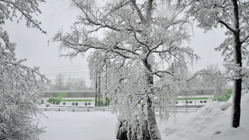 Voita unelmaloma Lapissa!