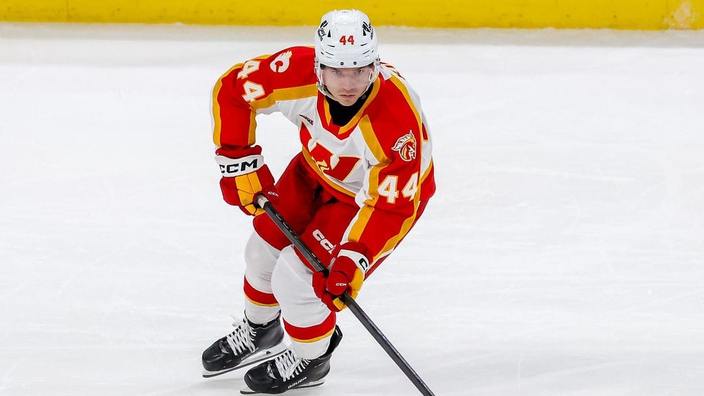 Carter King on pelannut edellisinä kahtena kautena AHL:ää Calgary Wranglersissa.